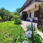 Dedo, Salara * Koper