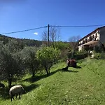 Dedo, Salara *