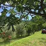 Dedo, Salara