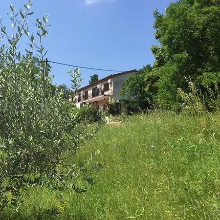 Dedo, Salara * Koper