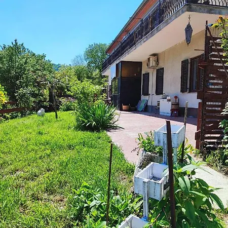 Dedo, Salara * Koper